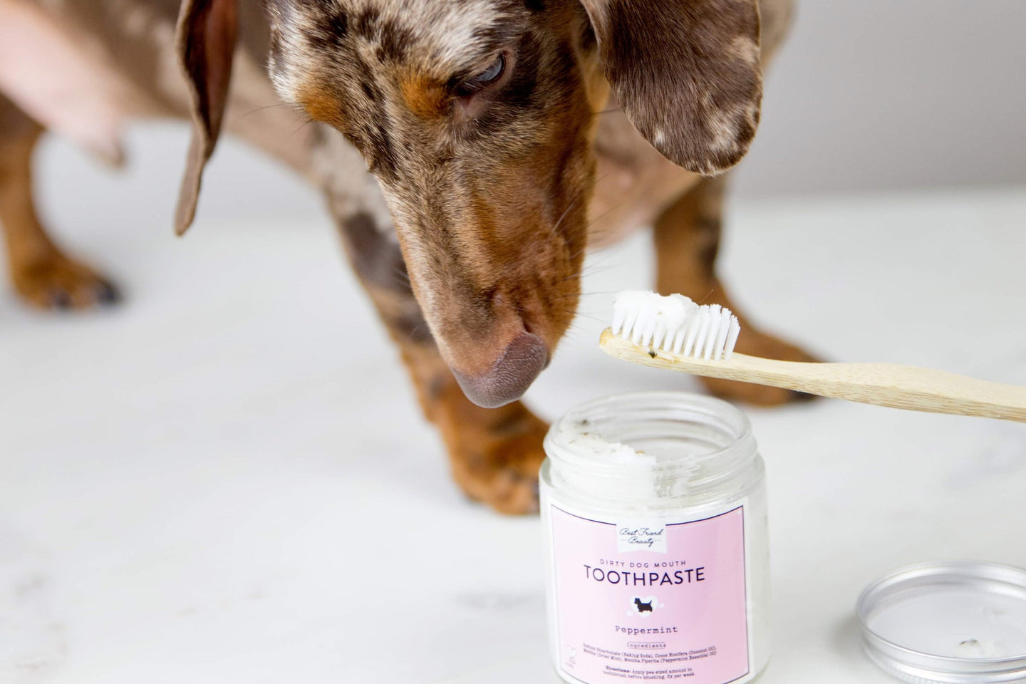 try our dog toothpaste