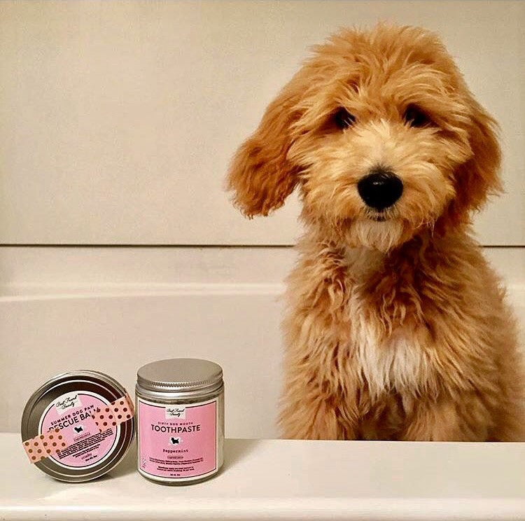 Dirty Mouth Dog Toothpaste - Luxury Organic All-Natural